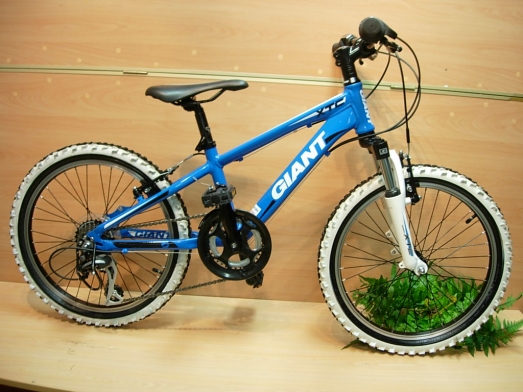 giant 20 inch mountain bike